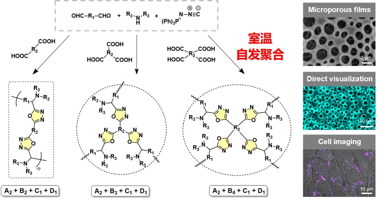 新澳彩资料库