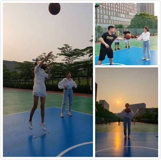 新澳彩资料库
